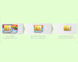 SIM's evolution