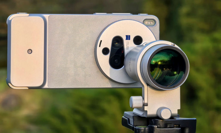 Żaden kot nie ucieknie: fotograficzny przebój roku z telekonwerterem
