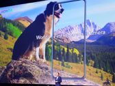 Migawki z premiery smartfona Honor View20