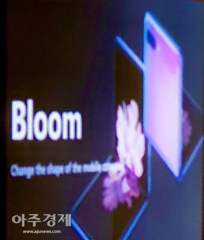 Samsung Galaxy Bloom na 
