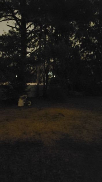 fot. @MaxWinebach / Twitter fot. @MaxWinebach / Twitter