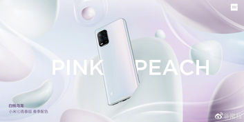 Xiaomi Mi 10 Youth Edition