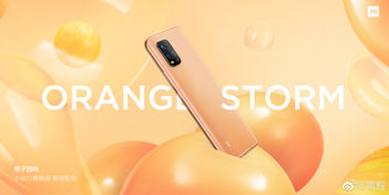 Xiaomi Mi 10 Youth Edition