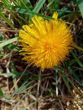 Zdjęcia z Huawei Y6p (w pełnym rozmiarze na karcie smartfona) Zdjęcia z Huawei Y6p (w pełnym rozmiarze na karcie smartfona)