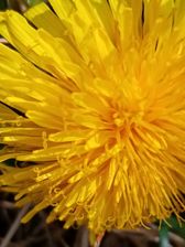 Zdjęcia z Huawei Y6p (w pełnym rozmiarze na karcie smartfona) Zdjęcia z Huawei Y6p (w pełnym rozmiarze na karcie smartfona)