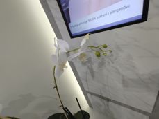 LG Wing - kilka pospiesznych zdjęć