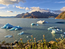 Przykładowe zdjęcia zrobione Vivo X90 Pro
