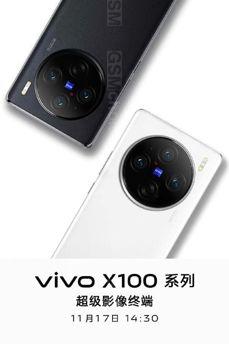 Vivo X100