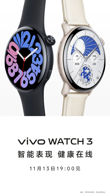 Vivo Watch 3