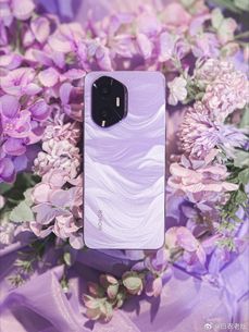 Honor 300