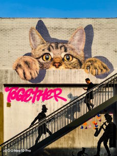 Przykładowe zdjęcia wykonane iQOO Neo 10