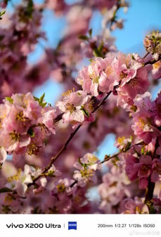 Przykładowe zdjęcia Vivo X200 Ultra z ogniskową 200, 800 i 1600 mm Przykładowe zdjęcia Vivo X200 Ultra z ogniskową 200, 800 i 1600 mm