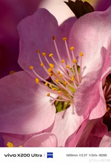 Przykładowe zdjęcia Vivo X200 Ultra z ogniskową 200, 800 i 1600 mm Przykładowe zdjęcia Vivo X200 Ultra z ogniskową 200, 800 i 1600 mm