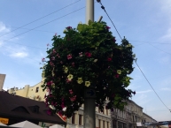 Dzień
