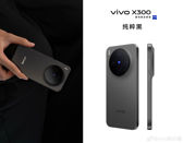 Vivo X300