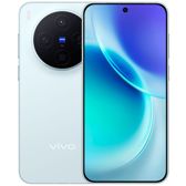 Vivo X300