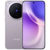 Vivo X300