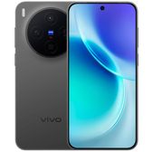 Vivo X300