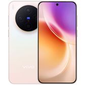 Vivo X300