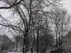 W dzień