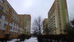 W dzień