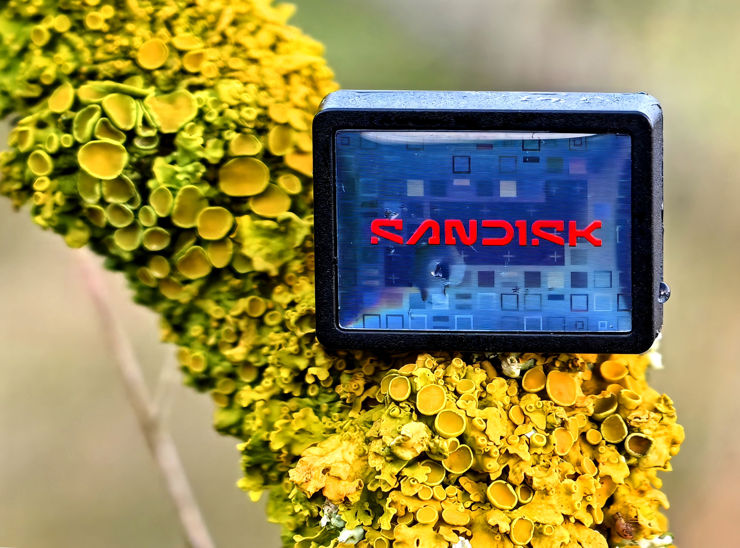 Sandisk Extreme Fit