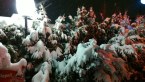 Photo from Lumia 920