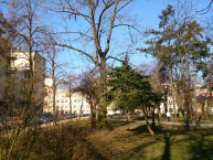 Sony Xperia Z Sony Xperia Z