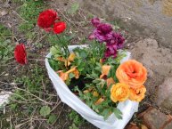 Sony Xperia Z Sony Xperia Z