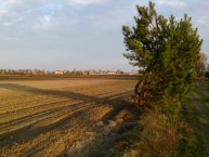 Sony Xperia Z Sony Xperia Z