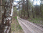 Zdjęcia zrobione Alcatel One Touch Star 6010D