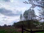 Z HDR i bez - Alcatel One Touch Star 6010D