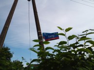Przykładowe zdjęcie