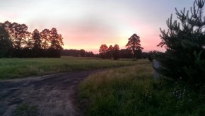 Z HDR