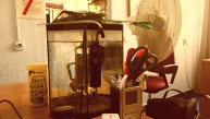 antyk