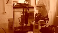 sepia