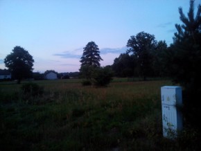 Przykładowe zdjęcie