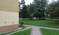 HTC Desire 500
