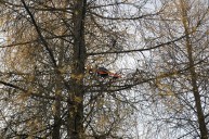 Parrot ARdrone Parrot ARdrone
