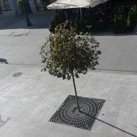 Zdjęcia wykonane Samsung Gear 2