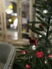 Przykładowe zdjęcia z Doogee Shot 1