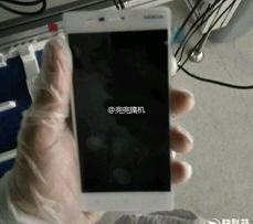 Szkice dwóch wariantów flagowca oraz Szkice dwóch wariantów flagowca oraz