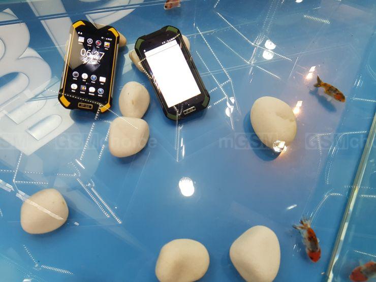 Akwarium na stoisku Blackview