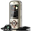 Sony Ericsson W395