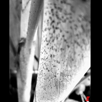 Zdjęcia wykonane ponoć OnePlus 5 i ich EXIF Zdjęcia wykonane ponoć OnePlus 5 i ich EXIF