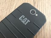 CAT S31
