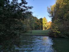 Huawei Mate 10 Pro - zdjęcia