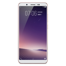 Vivo Y79