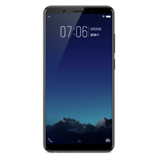 Vivo Y79