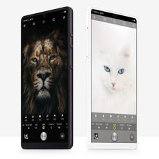Smartisan Nut R1